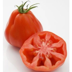 Pomidor Arawak (zam. specjalne)
