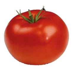 pomidor Macarena