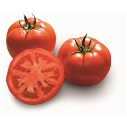 Pomidor Tsarine
