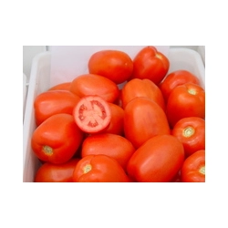 Pomidor  Dyno F1