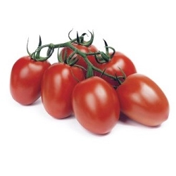 Pomidor Reva F1