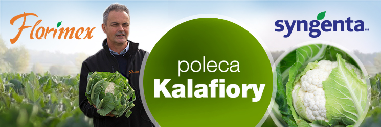 Kalafiory