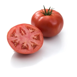 Pomidor Growdena