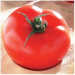 Pomidor Brooklyn