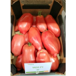 Pomidor V633 F1 (Cornarose)